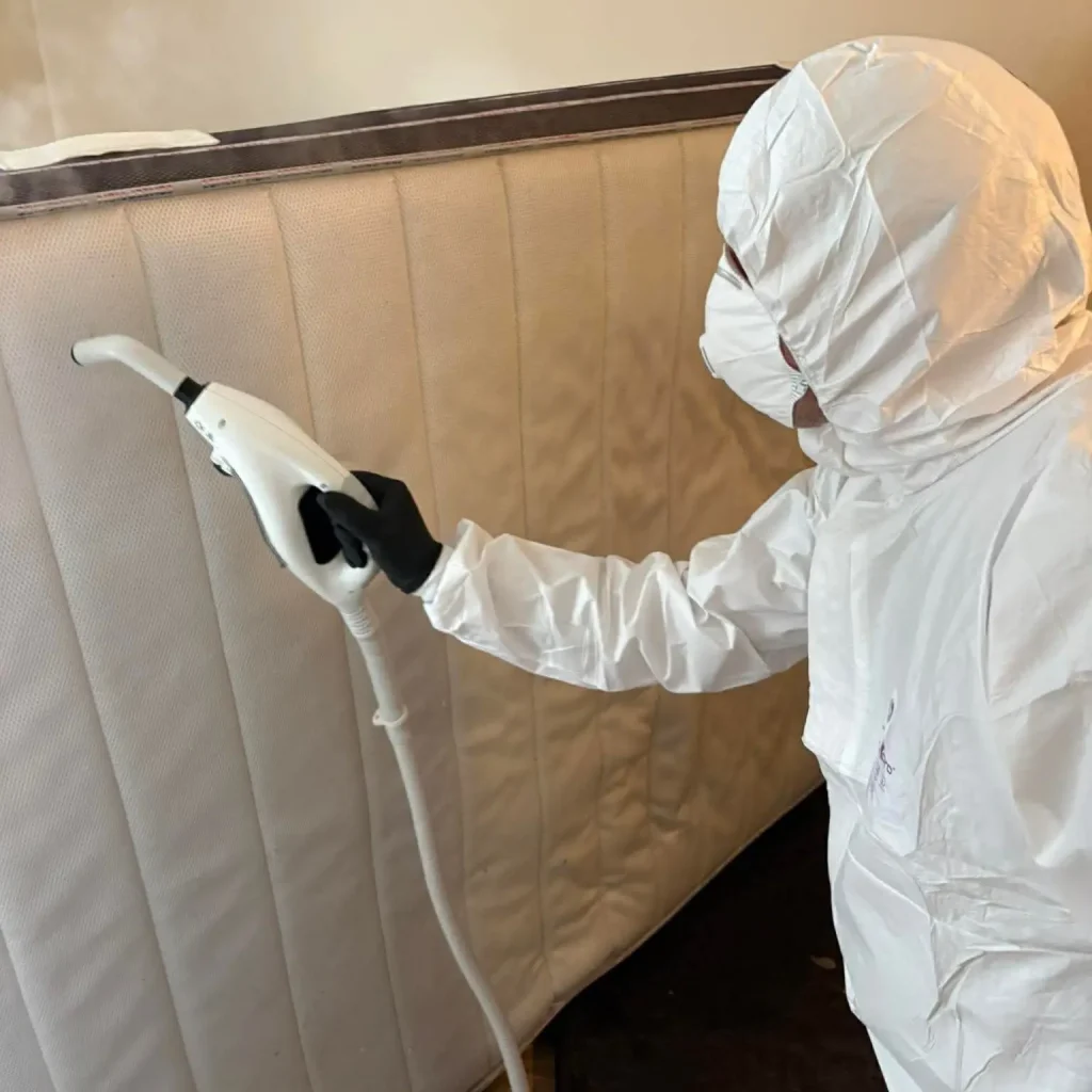 Traitement thermique à 180°C : l'assurance d'une éradication totale sans chimie. Technicien Creuse Nuisibles en tenue de protection traitant une surface infestée à la vapeur haute pression.